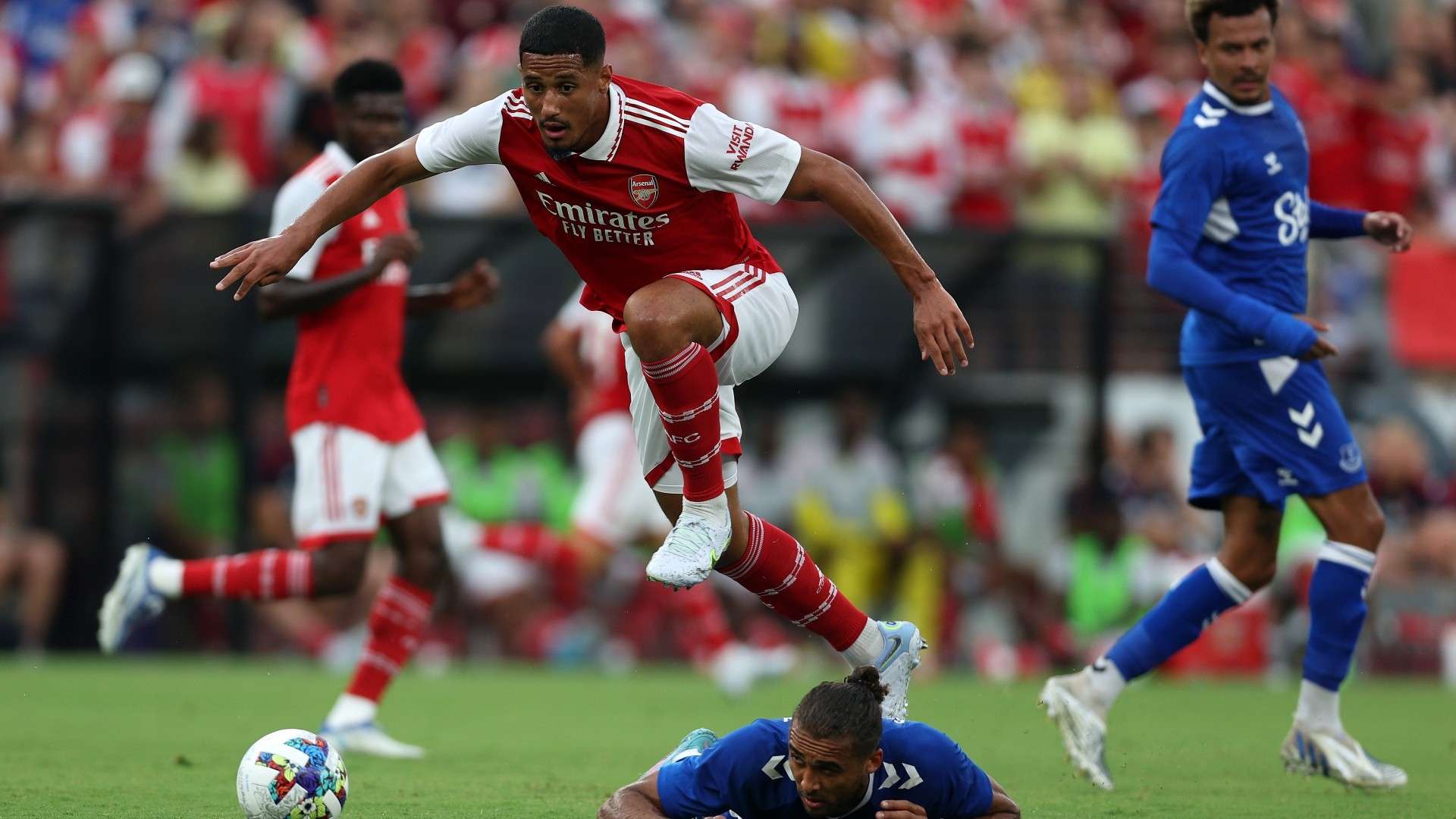 得有些迟钝 得有些迟钝